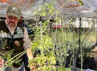 Regalarán árboles nativos en el vivero municipal