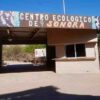Acuario del Centro Ecológico podría abrir en noviembre