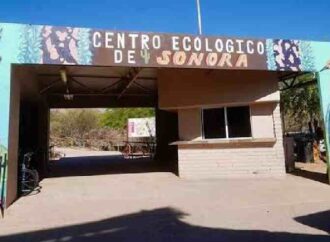 Acuario del Centro Ecológico podría abrir en noviembre