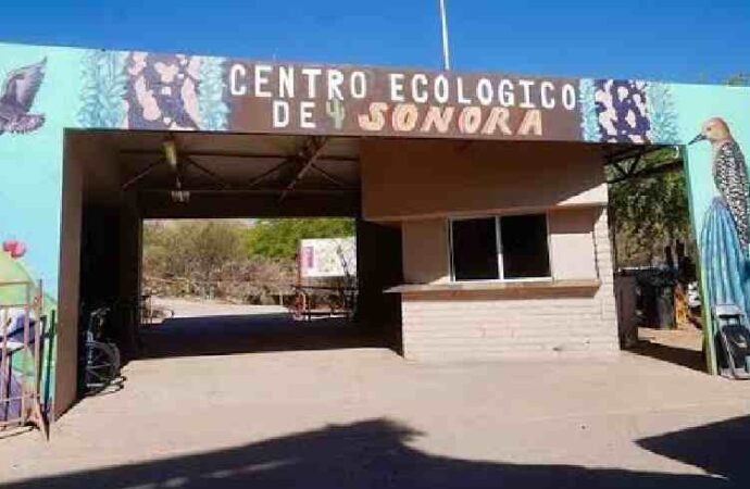 Acuario del Centro Ecológico podría abrir en noviembre