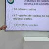 Vientos dejan decenas de árboles caídos y daños en infraestructura eléctrica en Cajeme