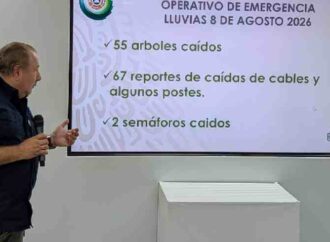 Vientos dejan decenas de árboles caídos y daños en infraestructura eléctrica en Cajeme
