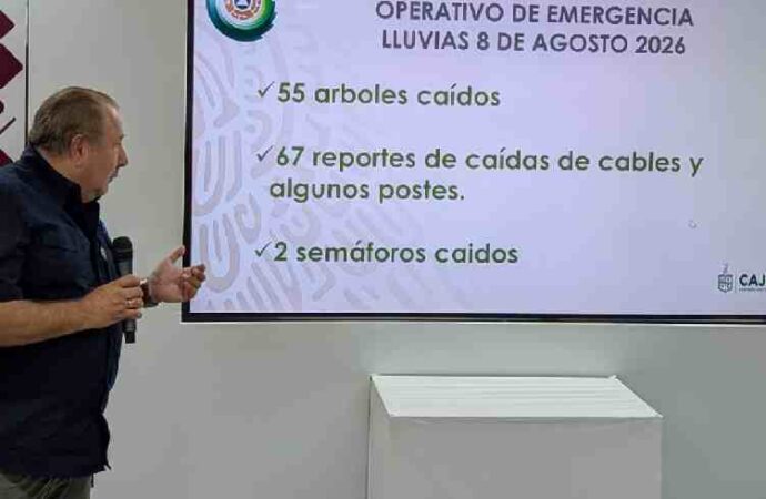 Vientos dejan decenas de árboles caídos y daños en infraestructura eléctrica en Cajeme