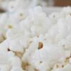 Investigadores de la UNISON desarrollan botanas nutritivas