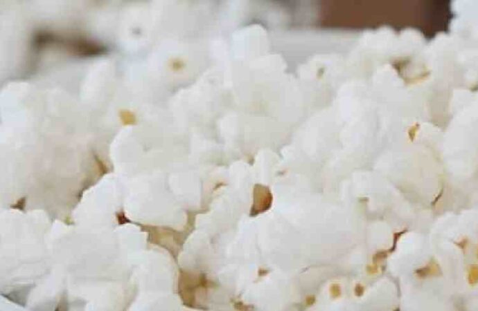 Investigadores de la UNISON desarrollan botanas nutritivas