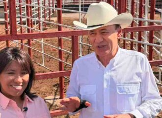 Abrirán la frontera con México para el cruce ganado a Estados Unidos