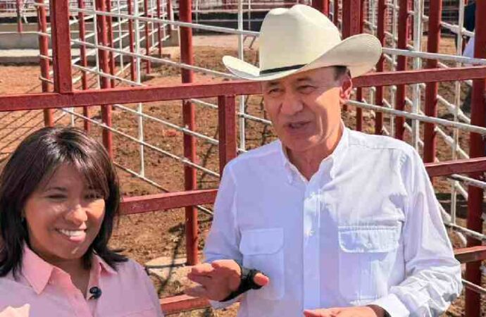 Abrirán la frontera con México para el cruce ganado a Estados Unidos