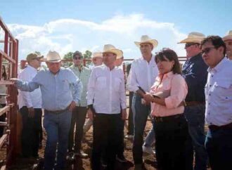 Duplicará Sonora capacidad ganadera en Agua Prieta ante reapertura de frontera