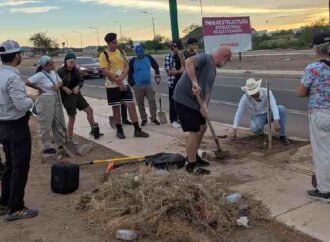 Siembran árboles en bulevar Las Quintas