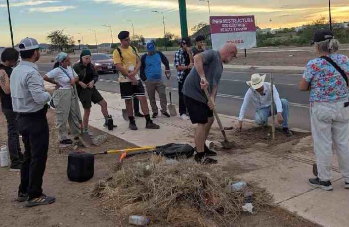 Siembran árboles en bulevar Las Quintas
