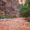 Inundaciones azotan el Gran Cañón en Arizona; evacúan a decenas y buscan a 15 personas