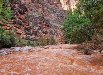 Inundaciones azotan el Gran Cañón en Arizona; evacúan a decenas y buscan a 15 personas