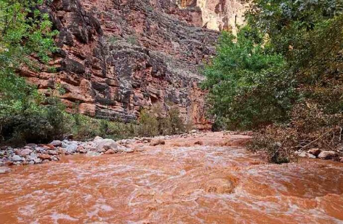 Inundaciones azotan el Gran Cañón en Arizona; evacúan a decenas y buscan a 15 personas
