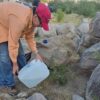Preparan la segunda isla de plantación del cerro Johnson