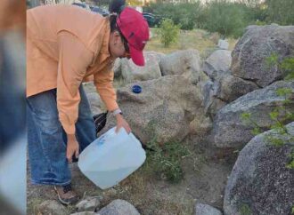 Preparan la segunda isla de plantación del cerro Johnson