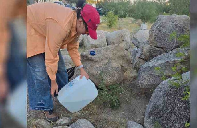 Preparan la segunda isla de plantación del cerro Johnson