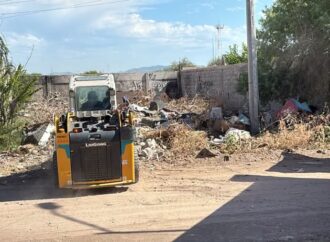 Limpian basurero clandestino en Real del Carmen