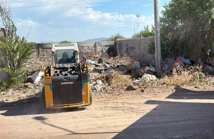 Limpian basurero clandestino en Real del Carmen