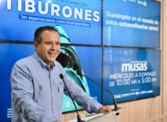 Megalodón, 12 especies y 700 metros de exhibición: Astiazarán trae a Hermosillo “tiburones”