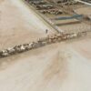 Garantizan la liberación de más mosca estéril en Sonora