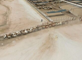 Garantizan la liberación de más mosca estéril en Sonora