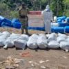 DEA destaca participación en decomiso de casi 17 toneladas de metanfetamina en Sinaloa