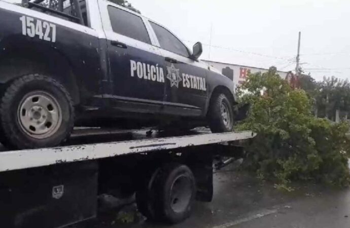 Patrulla de la PESP pierde el control y derriba árbol al norte de Hermosillo