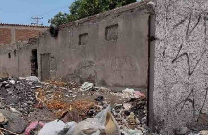 Llama Ecología Municipal a mantener limpios y cercados los predios para evitar riesgos en colonias