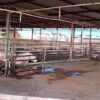 Fallas eléctricas, uno de los principales problemas del rastro
