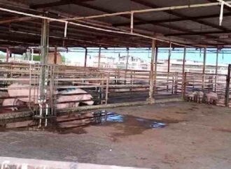 Fallas eléctricas, uno de los principales problemas del rastro