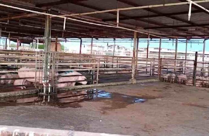 Fallas eléctricas, uno de los principales problemas del rastro