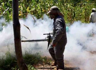 Dengue se dispara en Sonora: contagios duplican los registrados en 2025