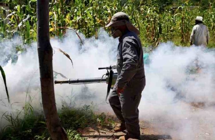 Dengue se dispara en Sonora: contagios duplican los registrados en 2025