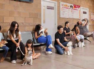 Esterilizarán perros y gatos en Urbi Villa del Cedro