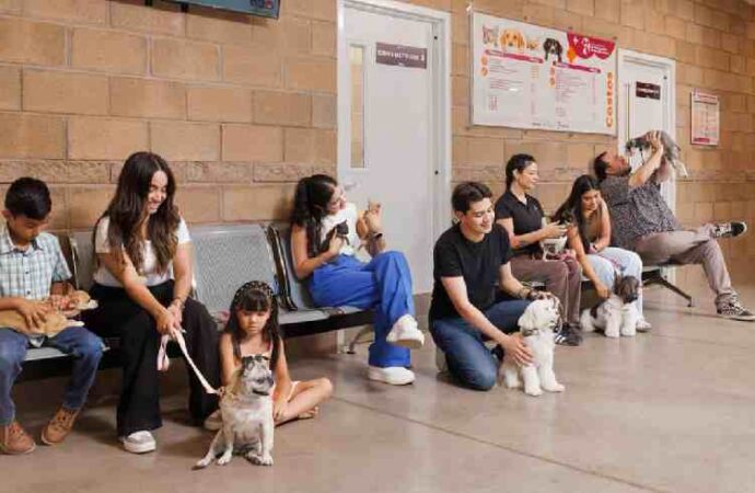 Esterilizarán perros y gatos en Urbi Villa del Cedro