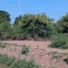 Bomberos pide evitar canales y arroyos durante lluvias; advierte sobre riesgo de corrientes