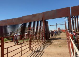 Reabren la frontera para exportación de ganado tras cierre técnico