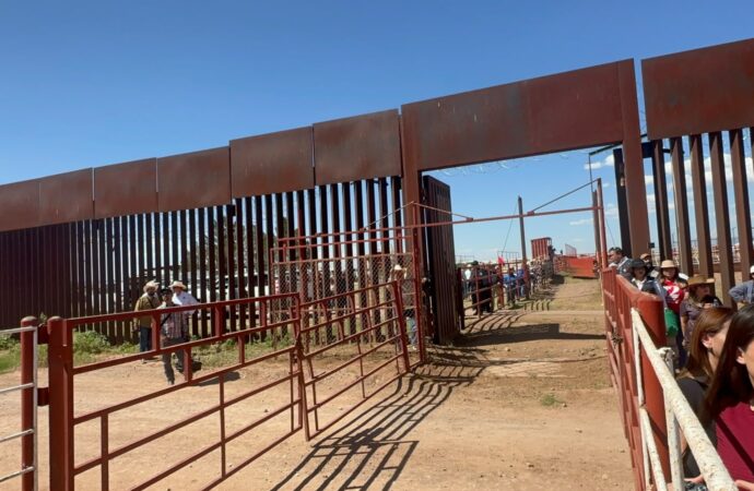 Reabren la frontera para exportación de ganado tras cierre técnico