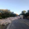 Autoridades de Sonora ven con buenos ojos prohibir circulación a trailers doble remolque en tramo Ímuris-Cananea