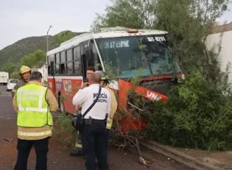 Camión de la Línea 17 choca contra árboles y barda en Hermosillo; hay dos lesionados