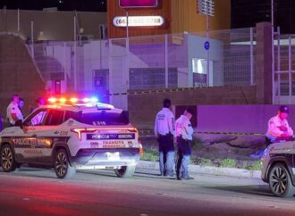 Hermosillo registra 51 atropellamientos durante los primeros seis meses de 2026