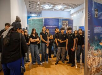 Supera exposición “TIBURONES” meta de 10 mil visitantes en sólo 19 días