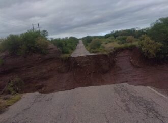 Genera huracánPolo afectaciones en municipios