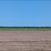 Con el agua al límite, Valle del Yaqui prepara 120 mil hectáreas para sembrar