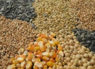 Escasea semilla de trigo y garbanzo para el próximo ciclo agrícola en el sur de Sonora