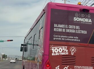 Piden vigilancia para camiones urbanos durante festejos de Halloween