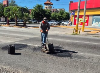 Avanza bacheo en Hermosillo; Ayuntamiento atiende calles y bulevares en distintas colonias