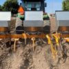 Incertidumbre, falta de crédito y baja rentabilidad frenan las siembras en el Valle del Yaqui