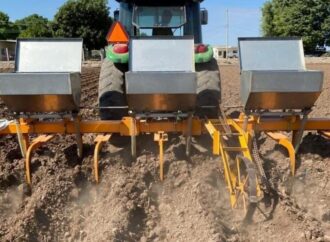 Incertidumbre, falta de crédito y baja rentabilidad frenan las siembras en el Valle del Yaqui
