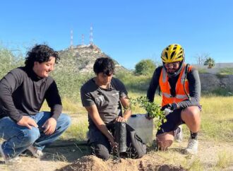 Jóvenes convocan a voluntarios para reforestar el Bosque Urbano Villa de Seris en Hermosillo
